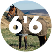 6'6 Turnout Rugs For Horses