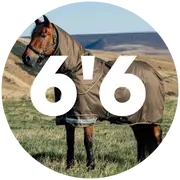 6'6 Turnout Rugs For Horses