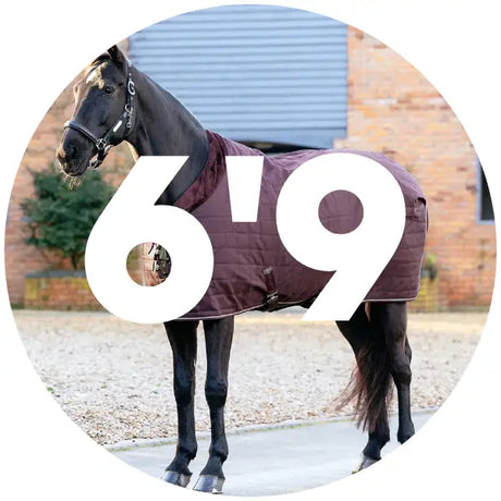 6’9 Stable Rugs