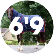 6'9 Turnout Rugs