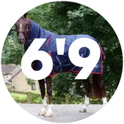 6'9 Turnout Rugs