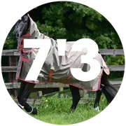 7'3 Turnout Rugs