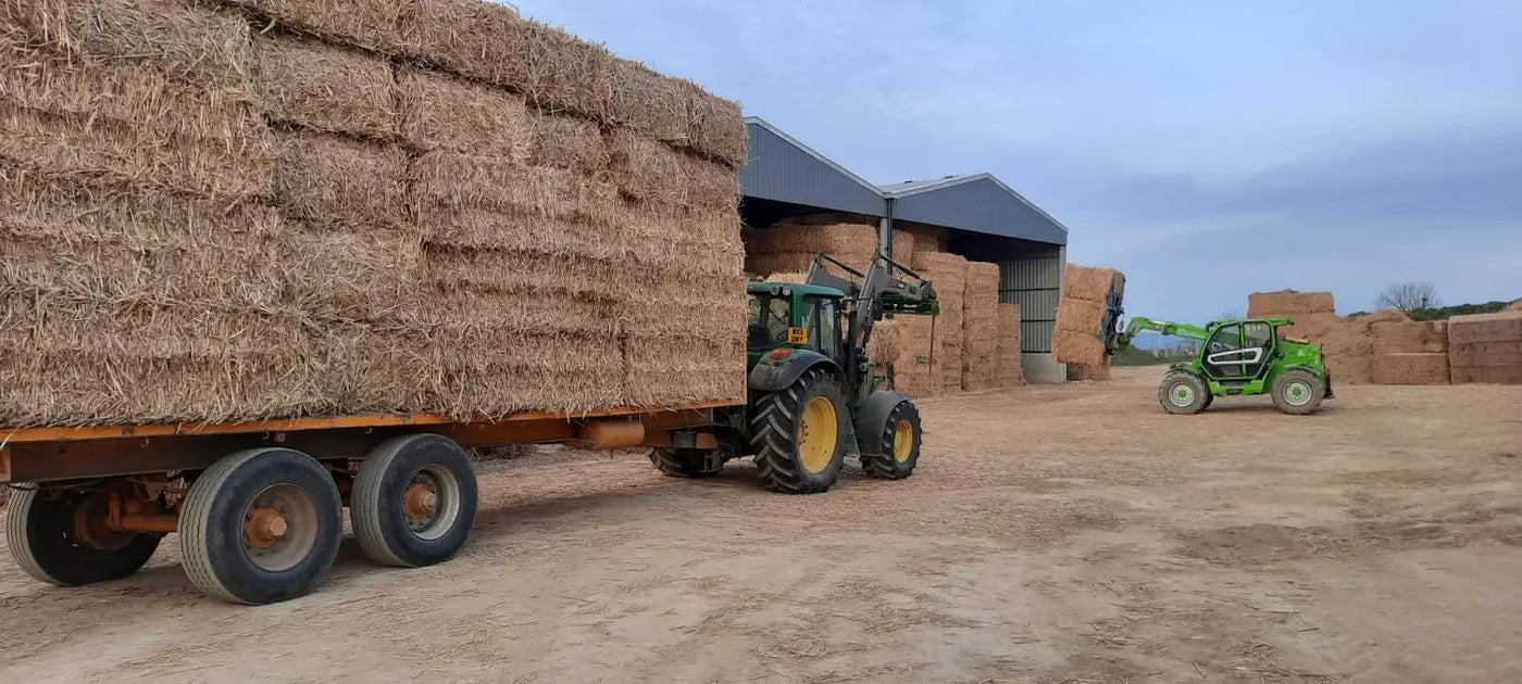 Tractor pulling trailer of stacked hay bales at Burlybed with Eucalyptus & Aloe.