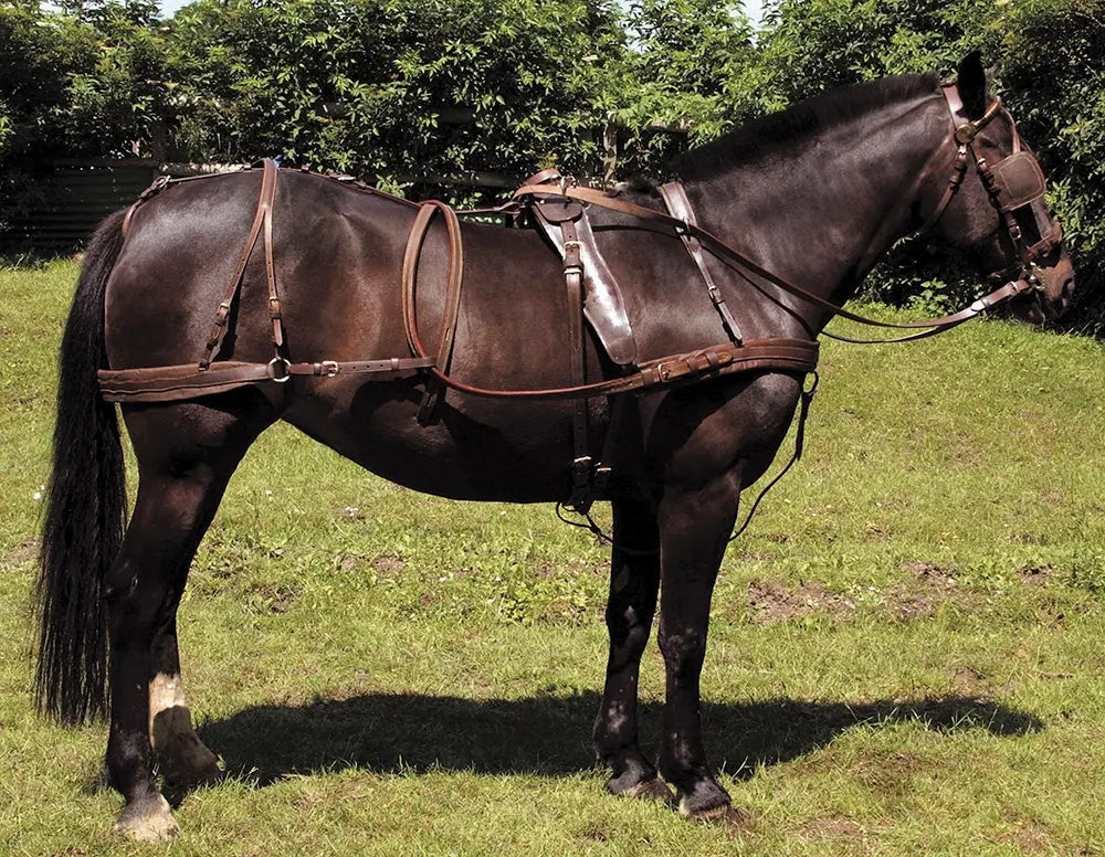 Carriage Driving Harnesses Barnstaple Equestrian Supplies