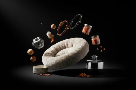 Cat Bargains For Black Friday