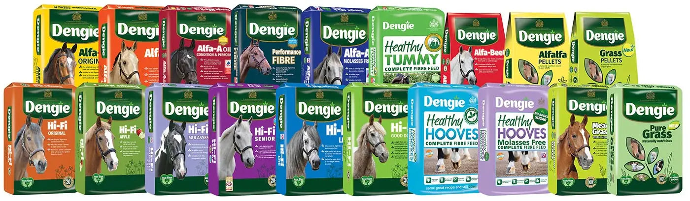 Dengie Horse Feeds, from Dengie Hi Fi Range to The Dengie Alfa A Range we stock it all at Barnstaple Equestrian Supplies