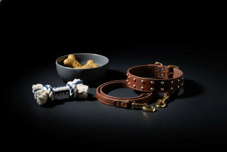 Pet Products Black Friday