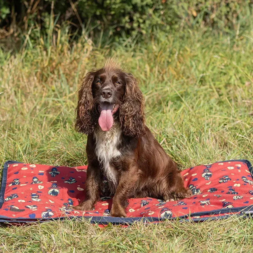 Dog Beds