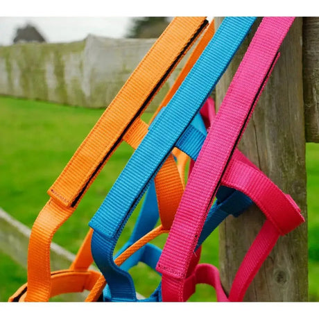 Field Safe Headcollars