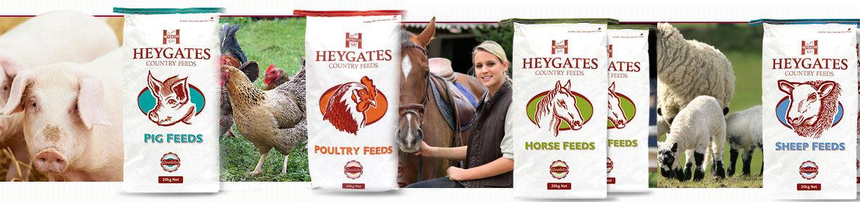 Heygates Animal Feeds and Horse Feeds