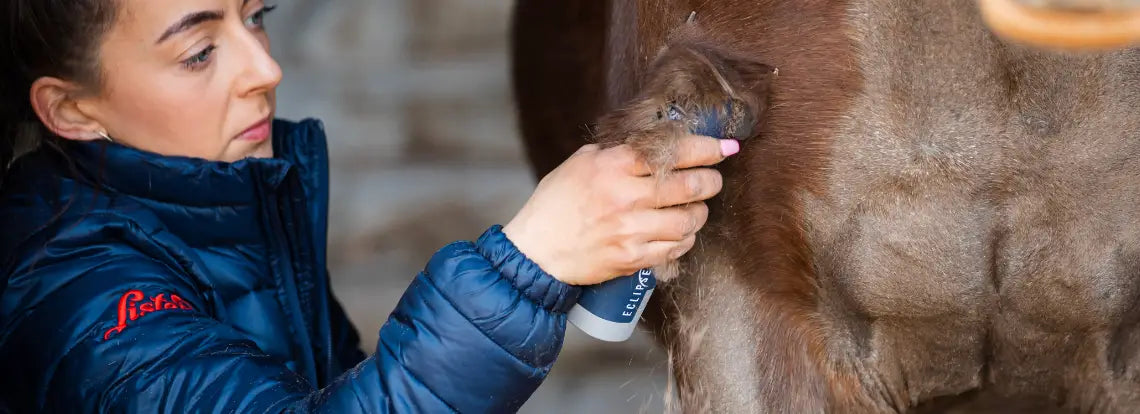 horse clippers & trimmers