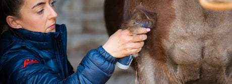 horse clippers & trimmers