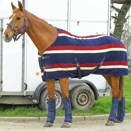 A horse wearing a navy blue red and cream striped rhinegold horse rugs stable rug with black straps