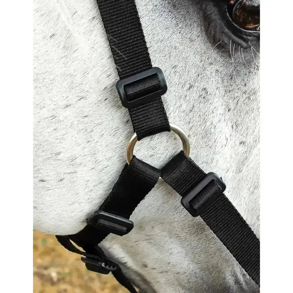 Black nylon horse halter with adjustable plastic buckles and metal ring from rhinegold horse tack collection