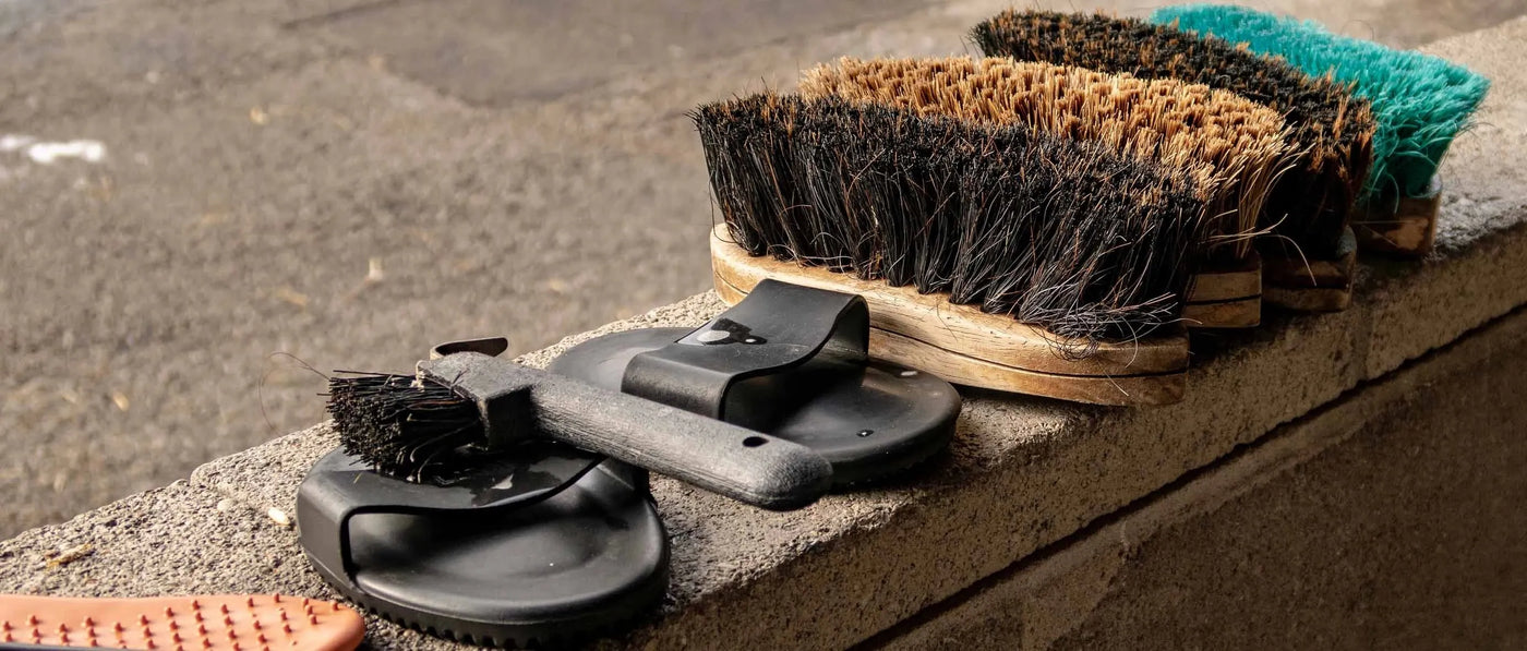 Shedding Horses Moulting Combs & Shedding Brushes