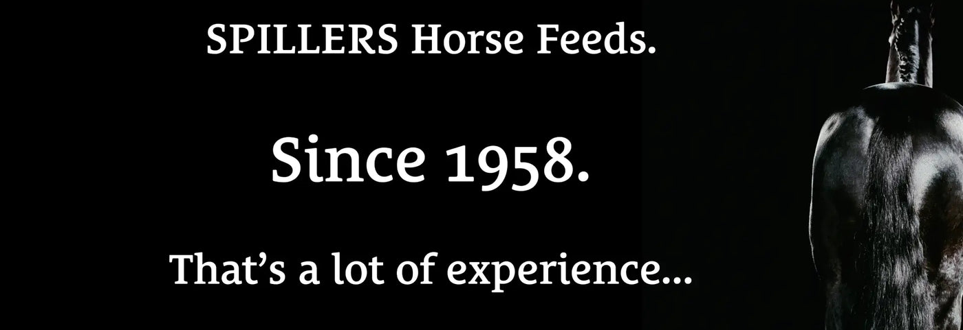 Spillers Horse Feeds a trusted name in the equestrian community, supporting the health and happiness of horses across various disciplines and lifestyles.