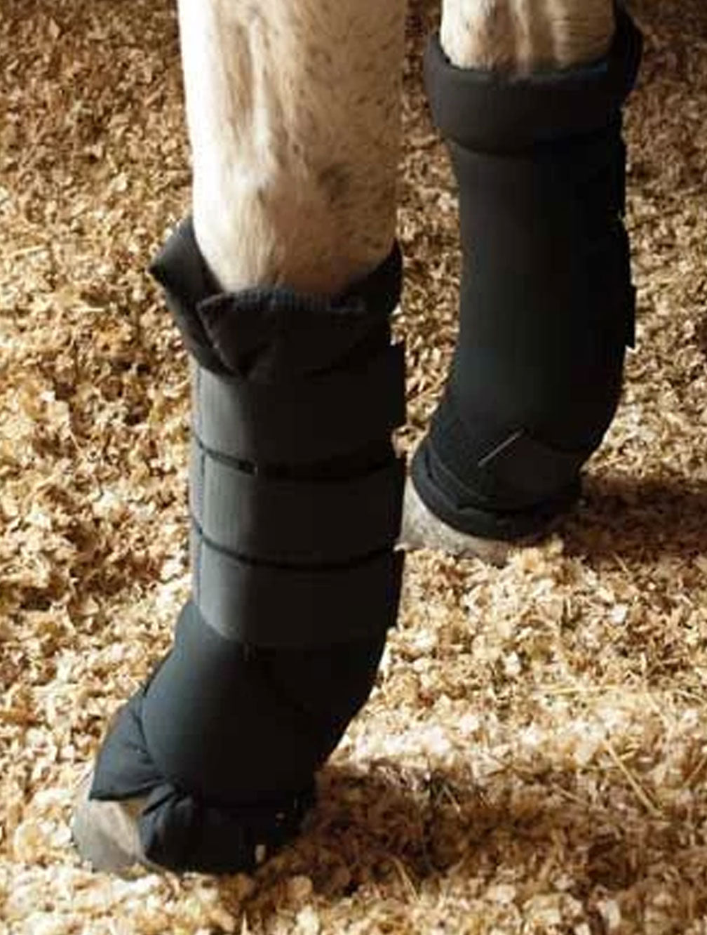 Stable Boots