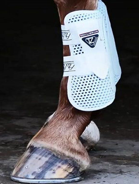 Tendon Boots For Horses