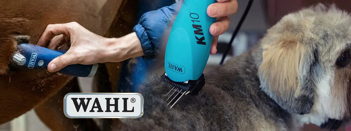 Electric dog grooming clippers from Wahl offers precise trimming for pet personal care.