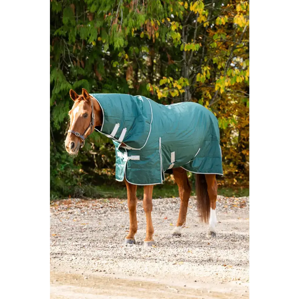 Swish 100g Stable Rug With Detachable Neck - Hunter Green 4'3 Stable Rugs