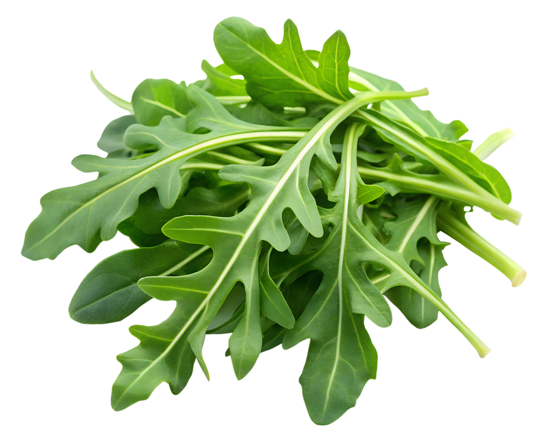 Wild Rocket Salad Box