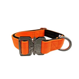 2.5cm Nylon BTactical™ Collar | Citrus Orange Small Dog Collar