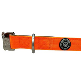 2.5cm Nylon BTactical™ Collar | Citrus Orange Small Dog Collar