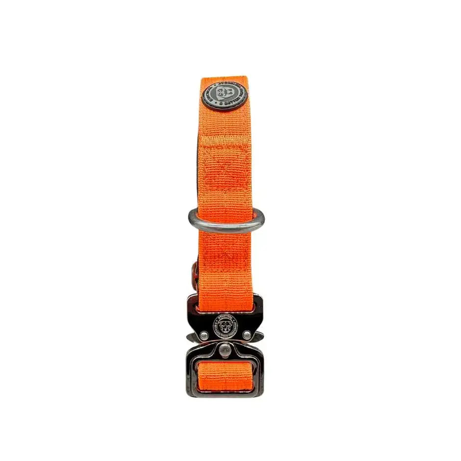 Bright orange citrus orange nylon btactical dog collar with black silver buckle d-ring and branded emblem