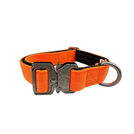 Bright orange woven nylon btactical dog collar with sturdy black metal buckle and d-ring in citrus orange nylon