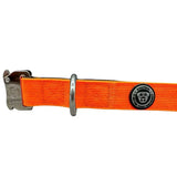Bright orange nylon btactical dog collar with silver buckle d-ring and black logo patch in citrus orange nylon