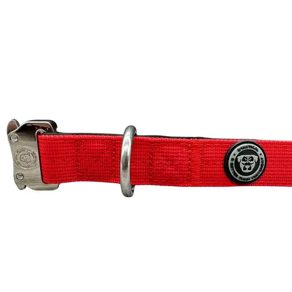 Red woven nylon btactical dog collar in citrus red with silver buckle d-ring and black logo patch