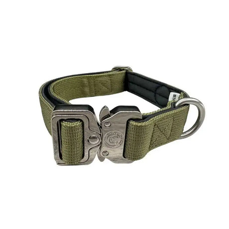 Olive green nylon btactical dog collar with sturdy metal buckle and d-ring in khaki green for tough use