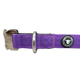 Lavender purple nylon btactical dog collar with silver buckle, d-ring, and circular branded emblem in 2.5cm width