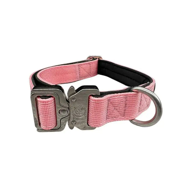 Pink woven nylon btactical collar with black lining and silver buckle in pretty pink for durable everyday wear