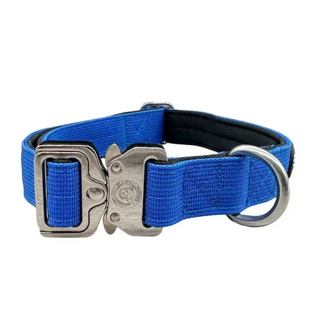 2.5cm Nylon BTactical™ Collar | Royal Blue Small Dog Collar