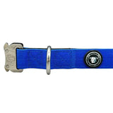 Royal blue nylon btactical dog collar with silver buckle and engraved emblem perfect for active lifestyle pups