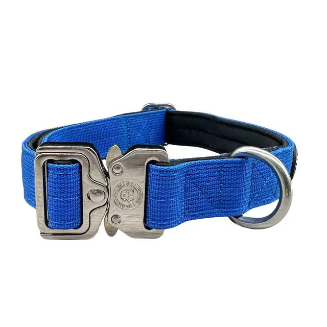 Bright blue nylon btactical dog collar with silver buckle and d-ring perfect for an active lifestyle