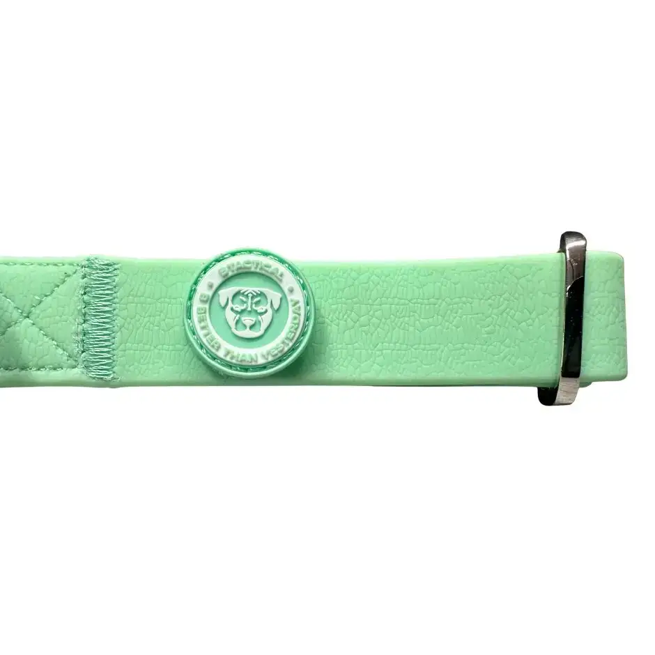 2.5cm PVC BTactical™ Collar | Pastel Green Small Dog Collar