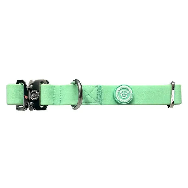 Mint green nylon pvc btactical collar with black metal buckle and silver hardware pastel green btactical dog collar