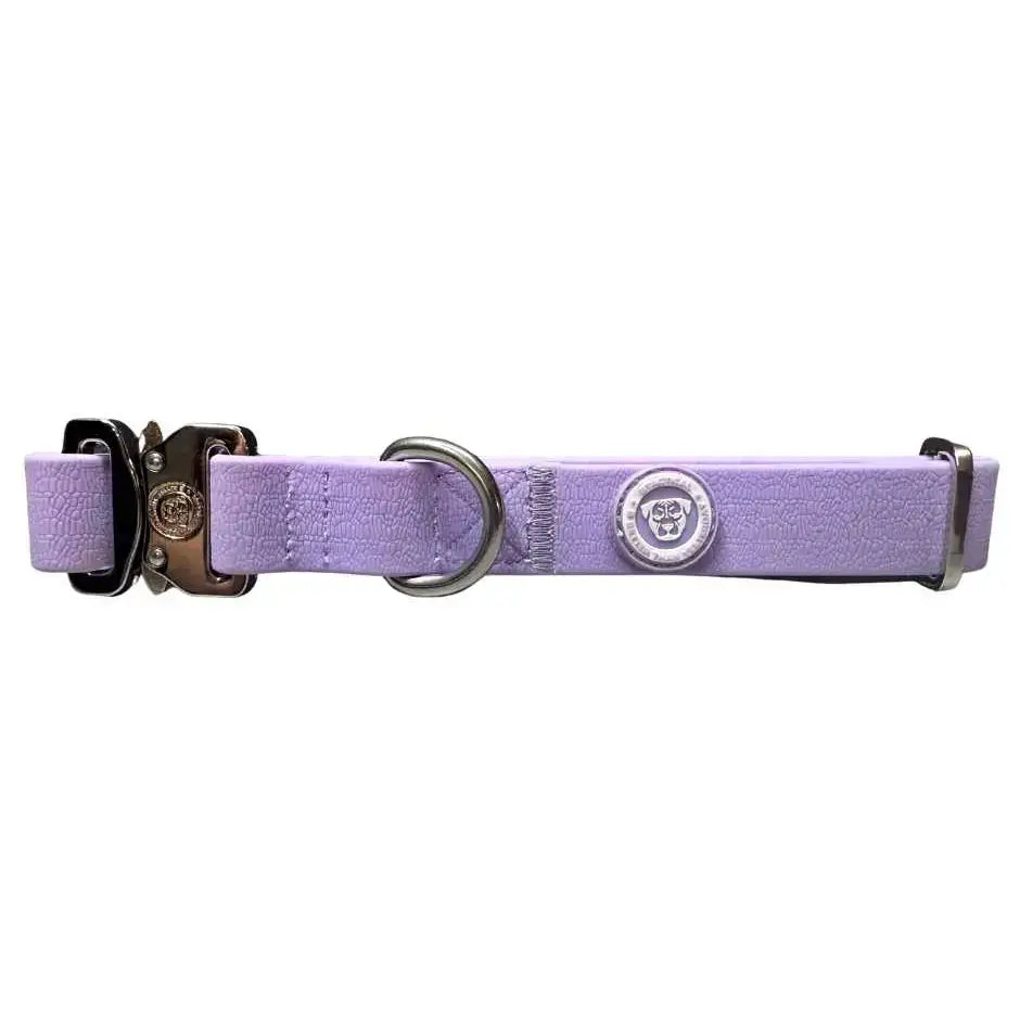 Lavender pastel purple pvc btactical dog collar with textured surface silver buckle and d-ring hardware 2.5cm wide