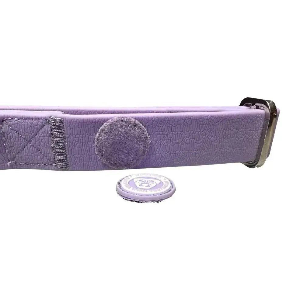 Lavender textured leather belt with silver buckle and circular magnetic clasp for pastel purple pvc btactical dog collar