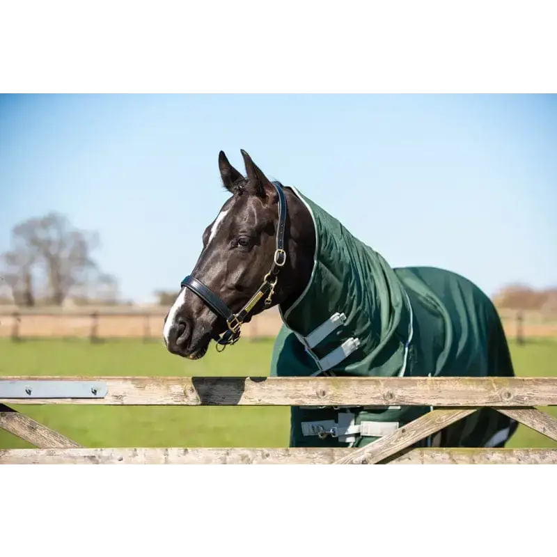 Swish 200g Detachable Neck Turnout Rug - Hunter Green 4'3 Turnout Rugs