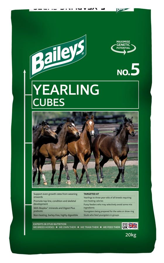 Baileys No. 5 Yearling Cubes  Barnstaple Equestrian Supplies