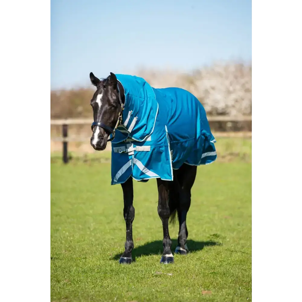 Swish 300g Turnout Rug With Detachable Neck - Turquoise 4'3 Turnout Rugs