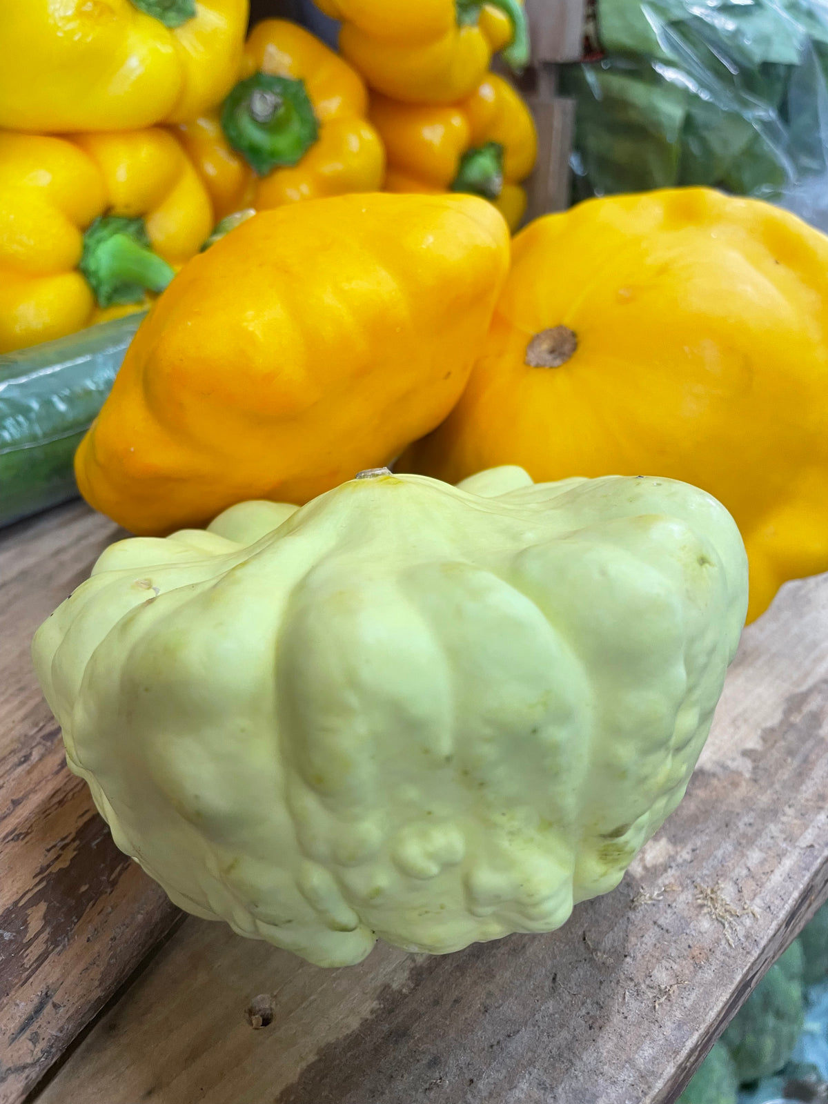 Local Pattypan Squash