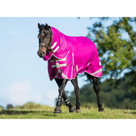 Swish 450g Ultimate Fixed Neck Turnout Rug - Mulberry 4'3 Turnout Rugs