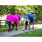 Swish 450g Ultimate Fixed Neck Turnout Rug - Mulberry 4'3 Turnout Rugs