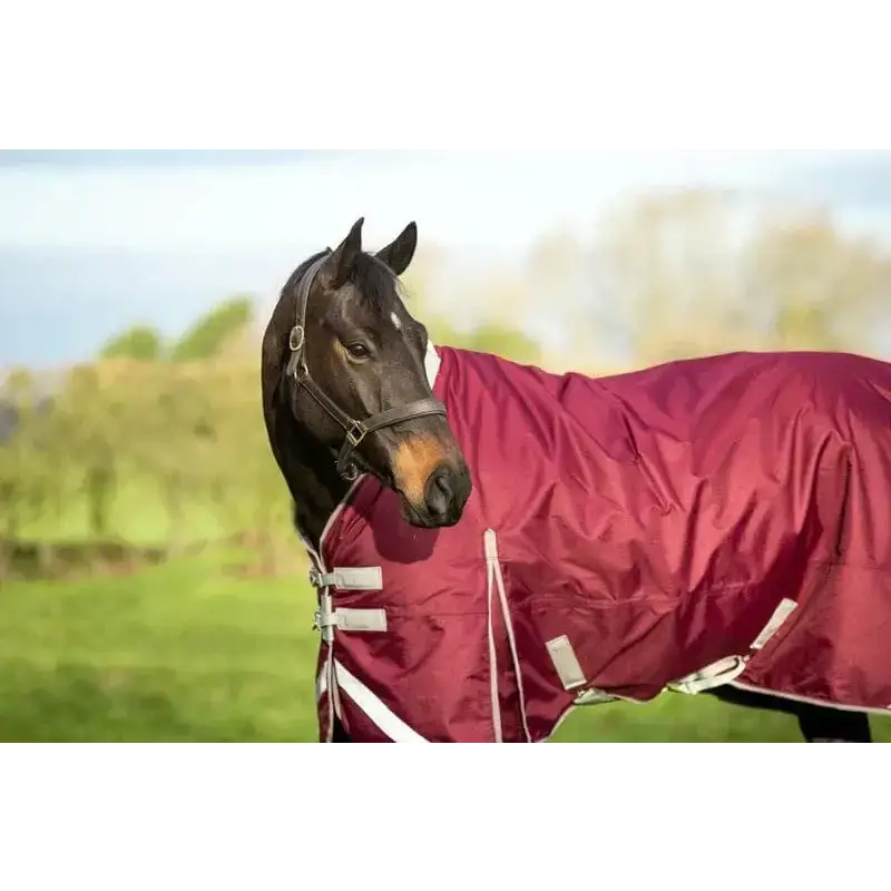 Swish 450g Ultimate Heavyweight Turnout Rug With Detachable Neck - Burgundy 4'3 Turnout Rugs