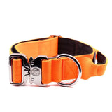 Bright orange 4cm nylon btactical dog collar with silver buckle and d-ring in citrus orange color