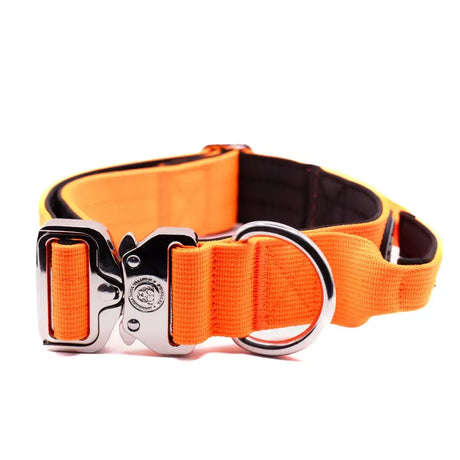 Bright orange 4cm nylon btactical dog collar with silver buckle and d-ring in citrus orange color